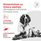 Royal Canin Veterinary Diet Dog Adult Glycobalance 410gr