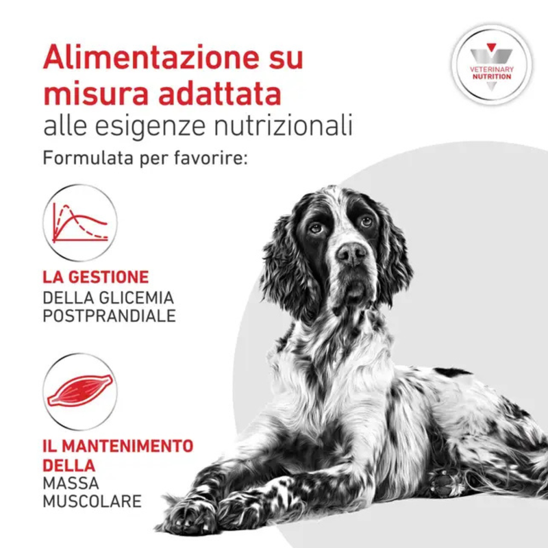 Royal Canin Veterinary Diet Dog Adult Glycobalance 410gr