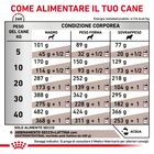 Royal Canin Veterinary Diet Dog Gastrointestinal 15 kg