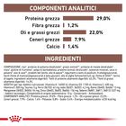 Royal Canin Veterinary Diet Dog Puppy Gastrointestinal 2,5 kg