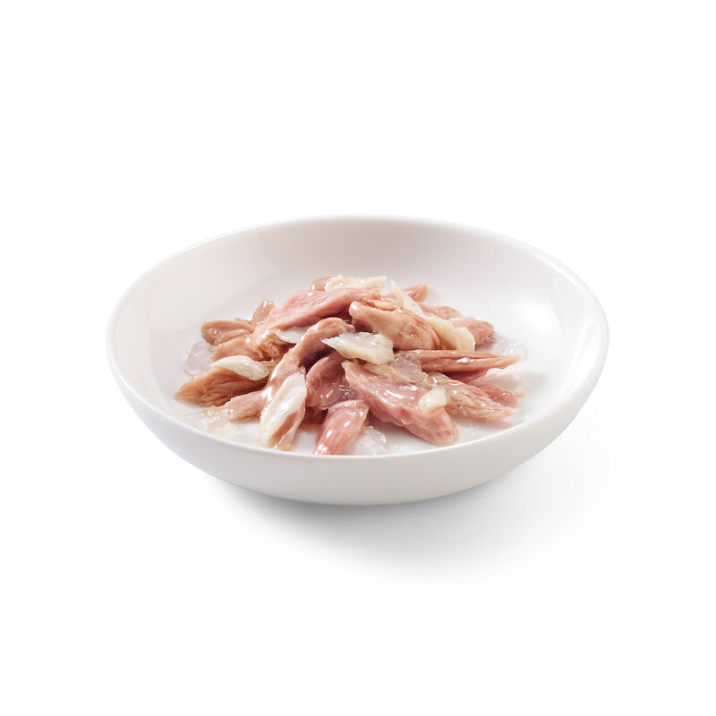 Schesir Cat Tonnetto con Nasello 70 gr