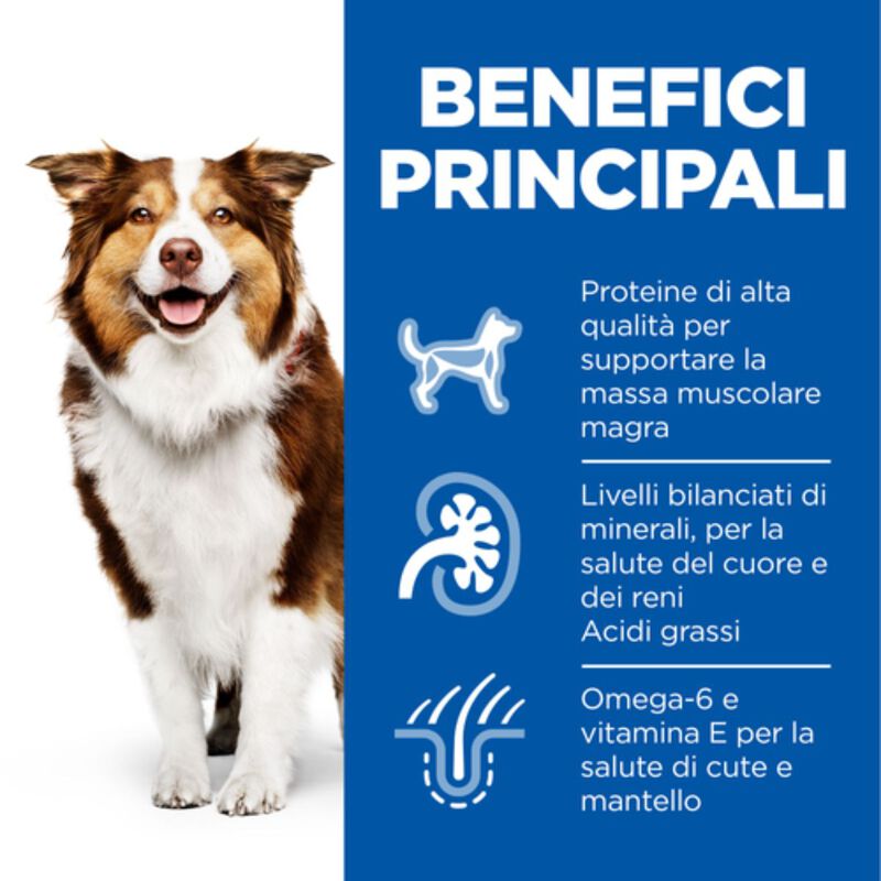 Hill's Science Plan Dog Mature Adult 7+ Lattina con Pollo 370 gr