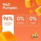 N&D Farmina Pumpkin Dog Adult Medium & Maxi Agnello e Mirtillo 12 kg