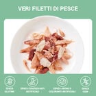 Schesir Cat Adult Tonnetto con Cernia in jelly 70 gr