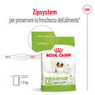 Royal Canin Dog Senior +12 anni X-Small 500 gr