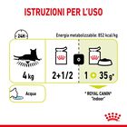 Royal Canin Cat Adult Sensory Smell Salsa 85 gr