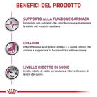 Royal Canin Veterinary Diet Dog Cardiac 410 gr