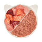 Wow Cat Adult Pollo e Salmone 125 gr