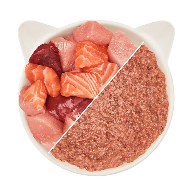 Wow Cat Adult Pollo e Salmone 125 gr