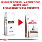 Royal Canin Veterinary Diet Dog Puppy Gastrointestinal 10 kg