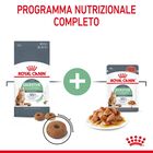 Royal Canin Cat Adult Digestive Care 400 gr