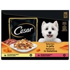 Cesar Dog Delizie del Giorno Pollo e Carote e Manzo e Verdure in Gelatina 12 x 100 gr