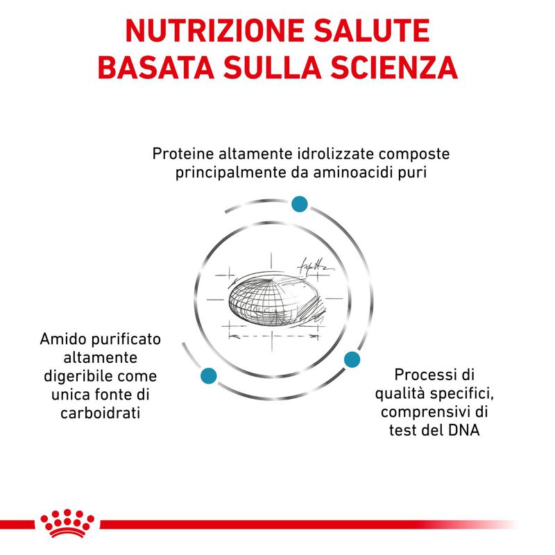 Royal Canin Veterinary Diet Dog Anallergenic 8 kg