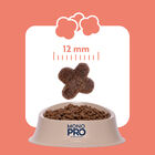 Monopro Dog Adult Mini Grain Free Salmone 2Kg