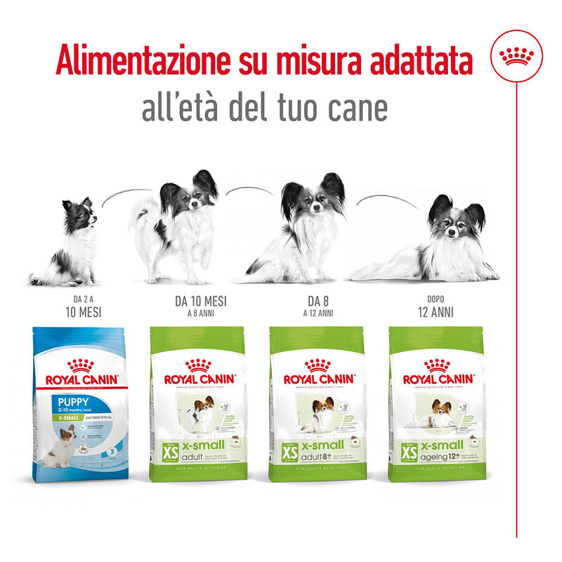 Royal Canin Dog Adult +8 anni X-Small 500 gr