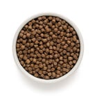 Grandorf Dog Adult Mini Tacchino 1Kg