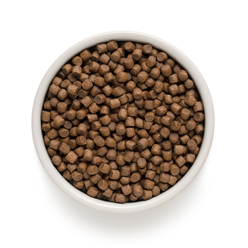 Grandorf Dog Adult Mini Tacchino 1Kg