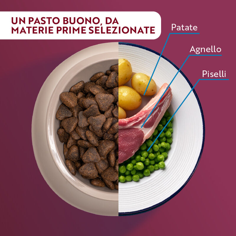 Monopro Dog Adult Medium&Large Grain Free Agnello 12 kg
