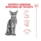 Royal Canin Cat Fussy Exigent 10kg