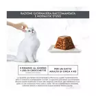 Gourmet Cat Adult Revelations Pollo in gelatina 4x57gr