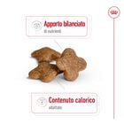 Royal Canin Dog Mini Adult +8 anni 8kg