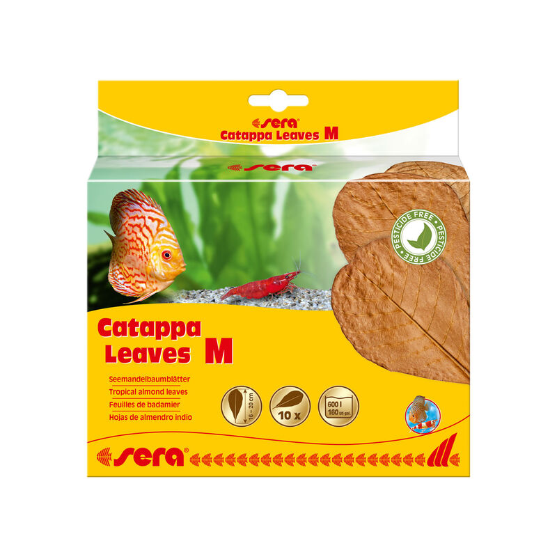 Sera Catappa Leaves foglie di Mandorlo Indiano M 10pz