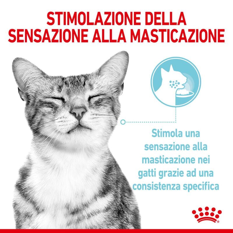 Royal Canin Cat Adult Sensory Feel Jelly 85 gr