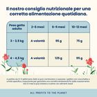 Almo Nature Kitten con Pollo 2kg