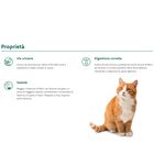 Oasy Superior Formula Cat Adult Sterilized al Salmone 1,5 kg