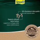Tetra ReptoMin Sticks 250 ml