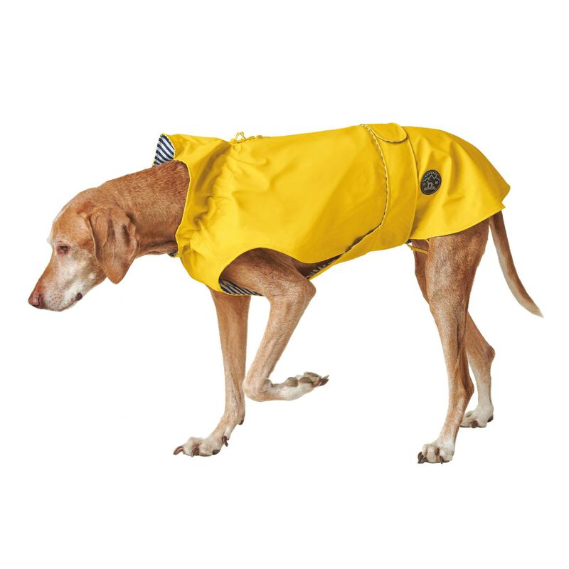 Hunter Impermeabile per cani Giallo Tg.40