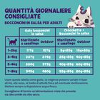 Edgard & Cooper Cat Adult Bocconcini in Salsa Salmone e Pollo 85 gr