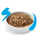 Edgard & Cooper Cat Adult al Salmone 350 gr