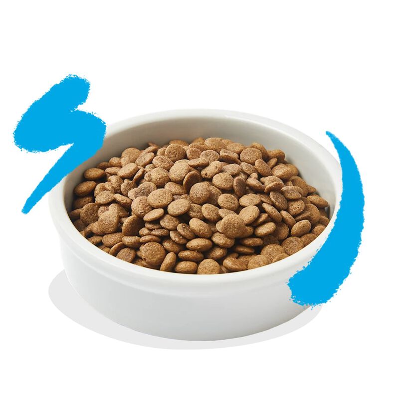 Edgard & Cooper Cat Adult al Salmone 350 gr