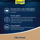 Tetra Discus Granules 100 ml