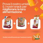 N&D Farmina Pumpkin Dog Adult Medium & Maxi Pollo e Melograno 12 kg