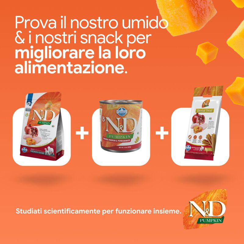 N&D Farmina Pumpkin Dog Adult Medium & Maxi Pollo e Melograno 12 kg