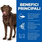 Hill's Science Plan Dog Adult Healthy Mobility Large Breed con Pollo 12 kg