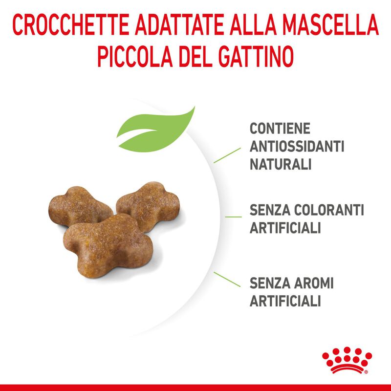Royal Canin Cat Kitten 2 kg