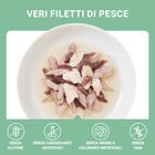 Schesir Cat Tonnetto con Orata in brodo 70 gr