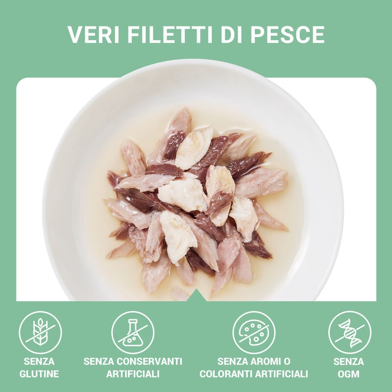 Schesir Cat Tonnetto con Orata in brodo 70 gr