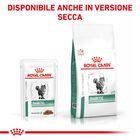 Royal Canin Veterinary Diet Cat Diabetic 12x85 gr