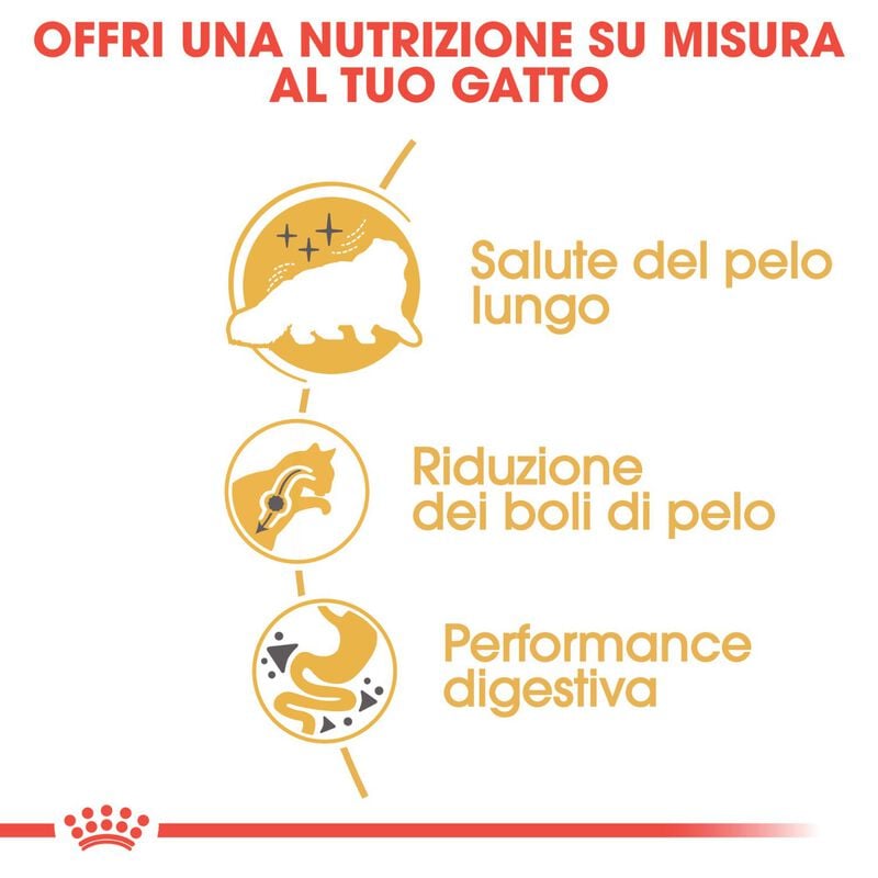 Royal Canin Cat Adult Persian 400 gr