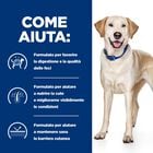 Hill's Prescription Diet Dog d/d Food Sensitives con Anatra e Riso 12 kg - Scad.01 Settembre 26
