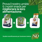 N&D Farmina Prime Dog Adult Medium & Maxi Agnello & Mirtillo 12 kg