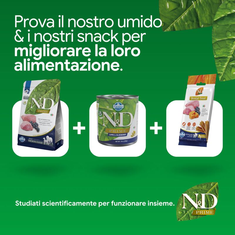 N&D Farmina Prime Dog Adult Medium & Maxi Agnello & Mirtillo 12 kg