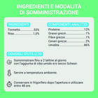 Schesir Cat Tonnetto in Gelatina 70 g