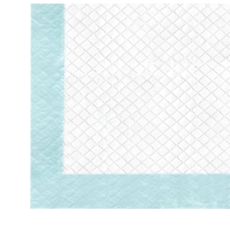Record Tapiss Tappetini assorbenti carboni attivi 60x60 cm