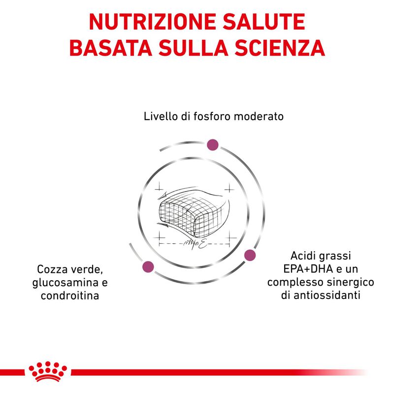 Royal Canin Veterinary Diet Cat Early Renal 1,5 kg