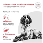 Royal Canin Veterinary Diet Dog Adult Glycobalance 1,5kg